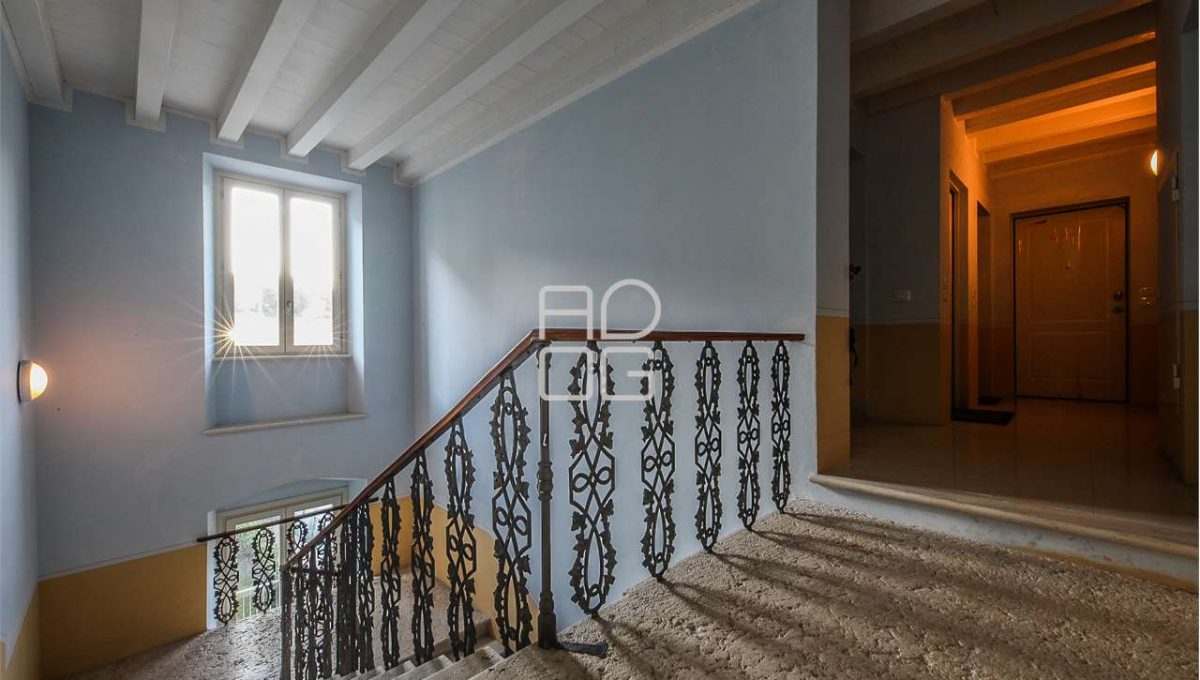 imm_71419-20260203173800-1280-_Watermark_png_mc