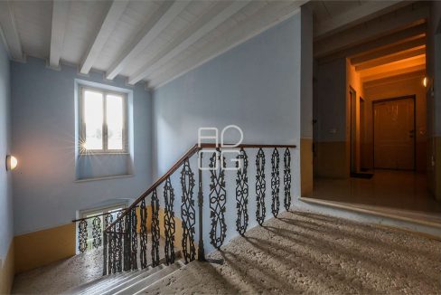 imm_71419-20260203173800-1280-_Watermark_png_mc