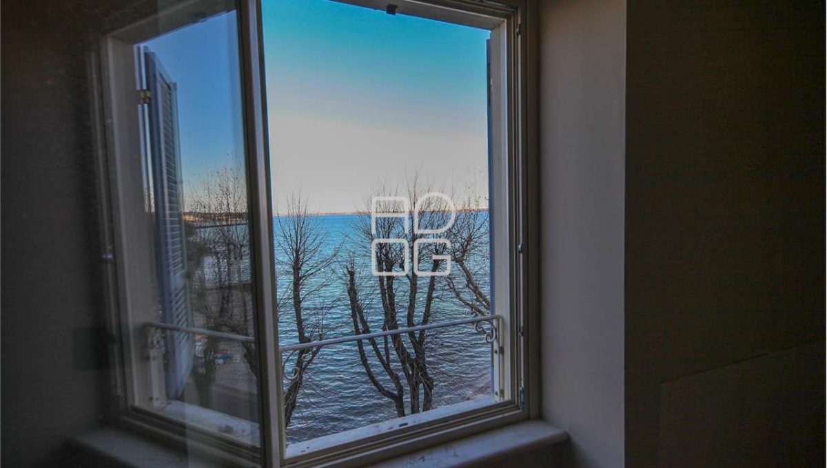 imm_71445-20260203174511-1280-_Watermark_png_mc