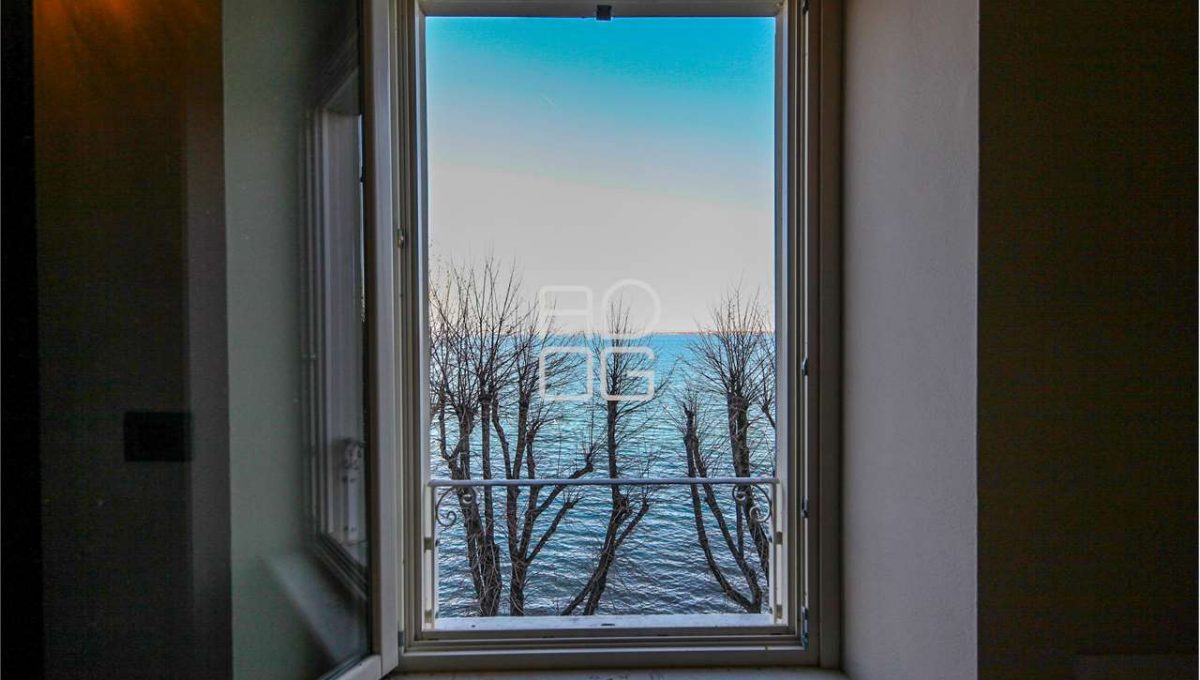 imm_71446-20260203174511-1280-_Watermark_png_mc