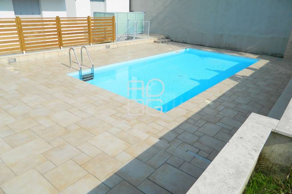 imm_71455-20260203174511-1024-_Watermark_png_mc