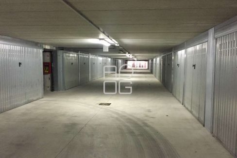 imm_71456-20260203174511-1024-_Watermark_png_mc