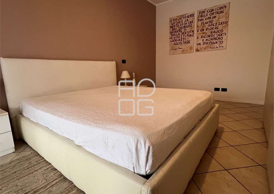 imm_71723-20260216172030-1280_Watermark_png_mc