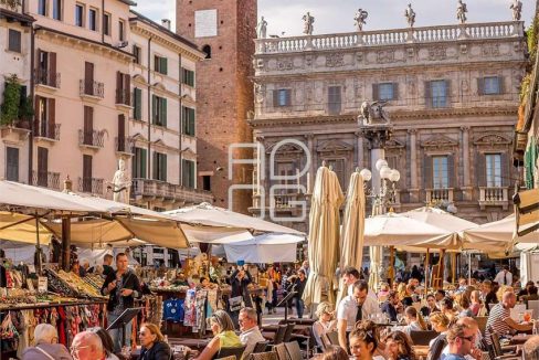 imm_71809-20260222210322-1280_Watermark_png_mc