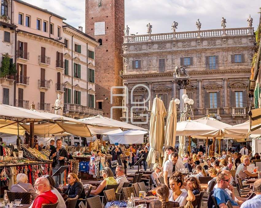 imm_71809-20260222210322-1280_Watermark_png_mc