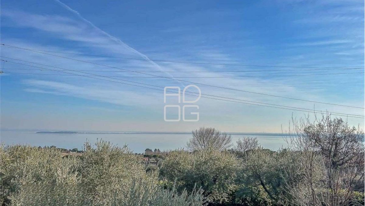 imm_71814-20260223080154-1280-_Watermark_png_mc