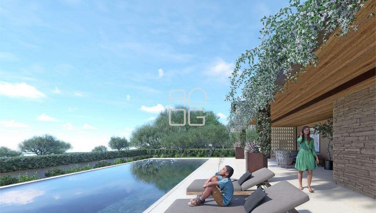 imm_71815-20260223080154-1280-_Watermark_png_mc