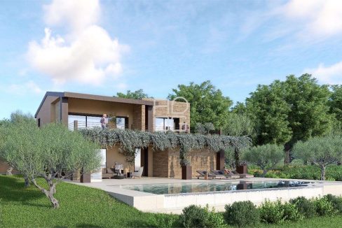 imm_71817-20260223080154-1280-_Watermark_png_mc