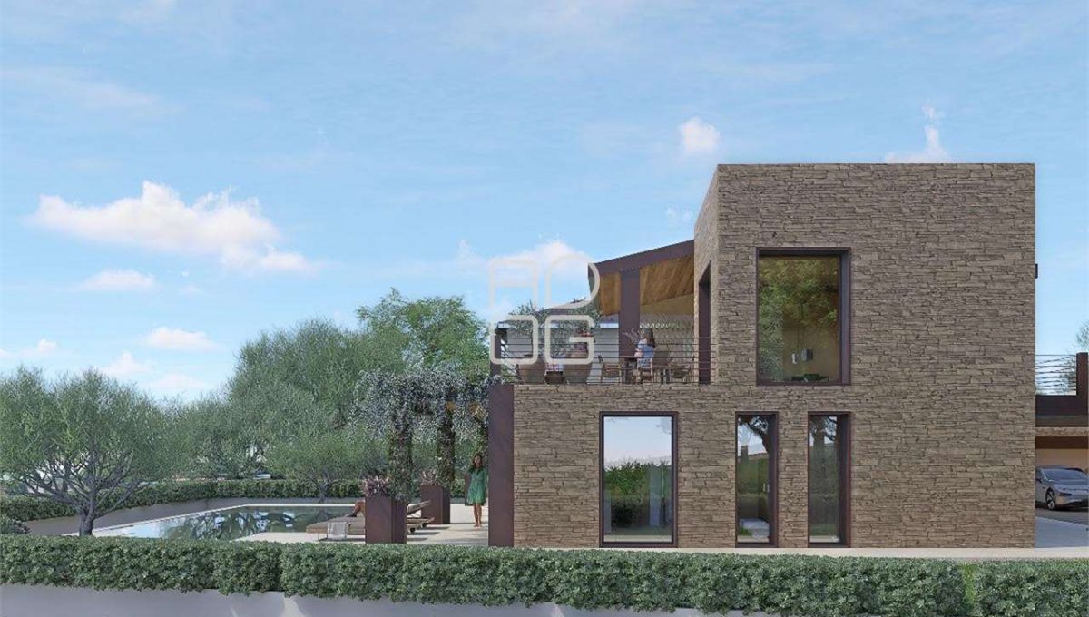 imm_71821-20260223080154-1280-_Watermark_png_mc