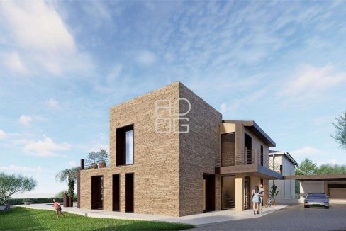 imm_71823-20260223080154-1280-_Watermark_png_mc