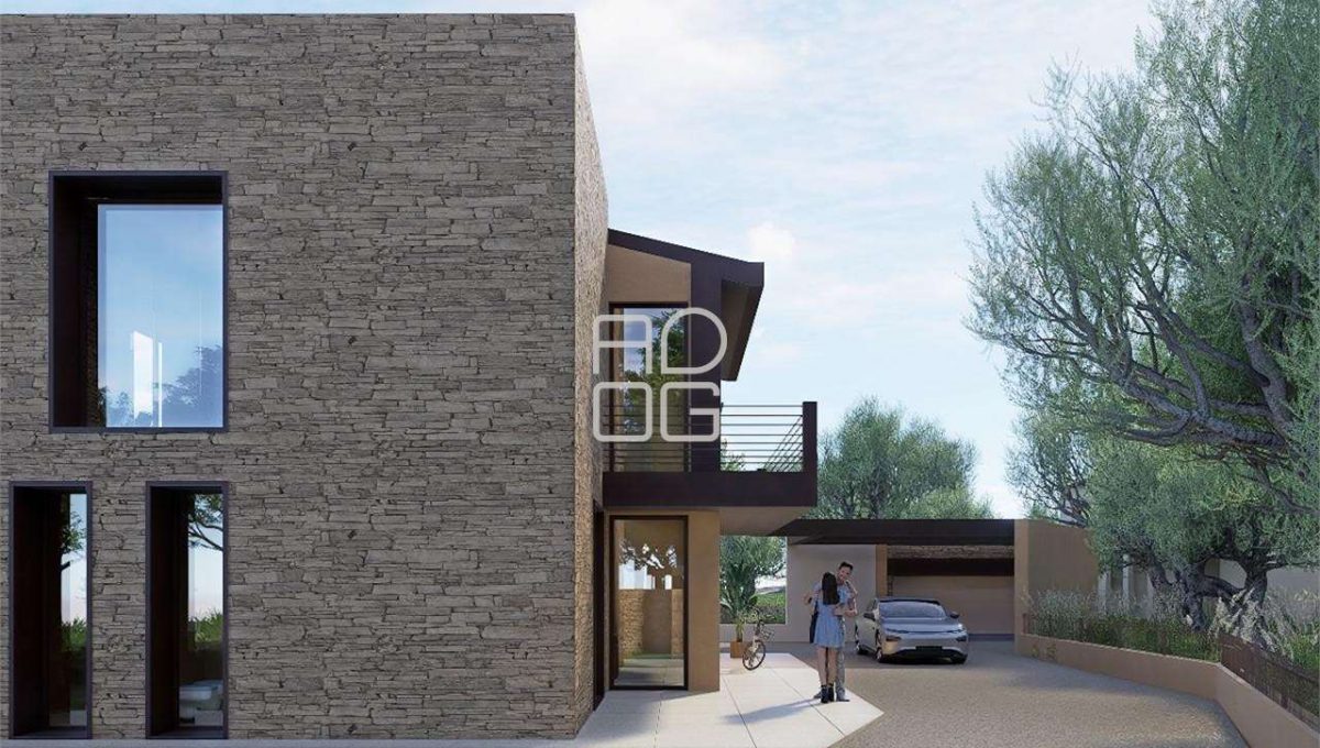 imm_71824-20260223080154-1280-_Watermark_png_mc