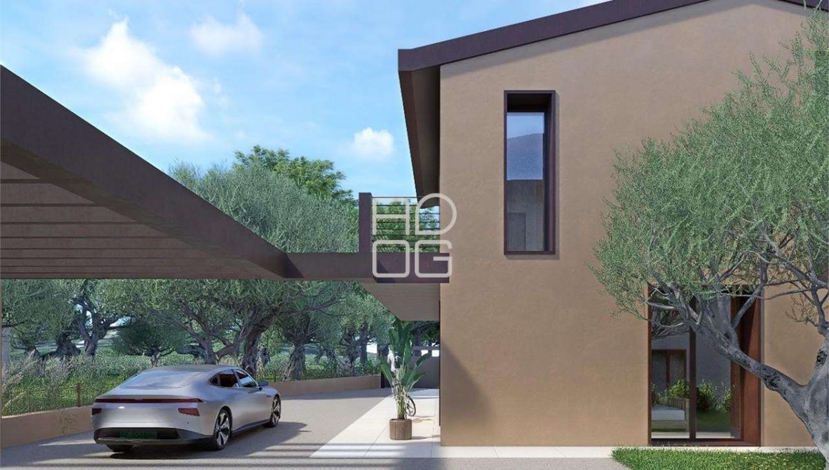 imm_71825-20260223080155-1280-_Watermark_png_mc