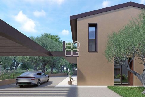 imm_71825-20260223080155-1280-_Watermark_png_mc