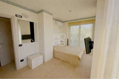 imm_71890-20260226094334-1280-_Watermark_png_mc