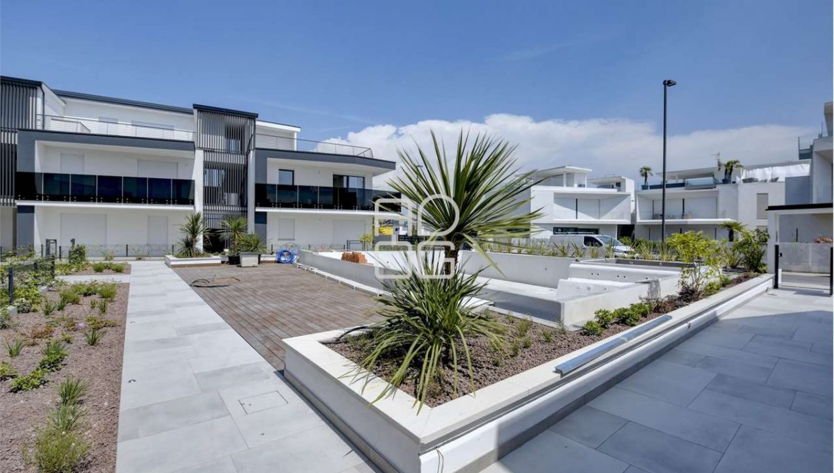 imm_58536-20240730100212-1280-_Watermark_png_mc