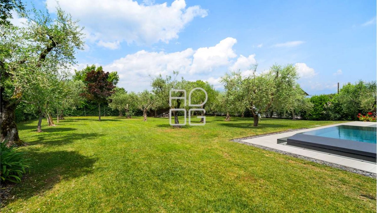 imm_66756-20250617084423-1280-_Watermark_png_mc