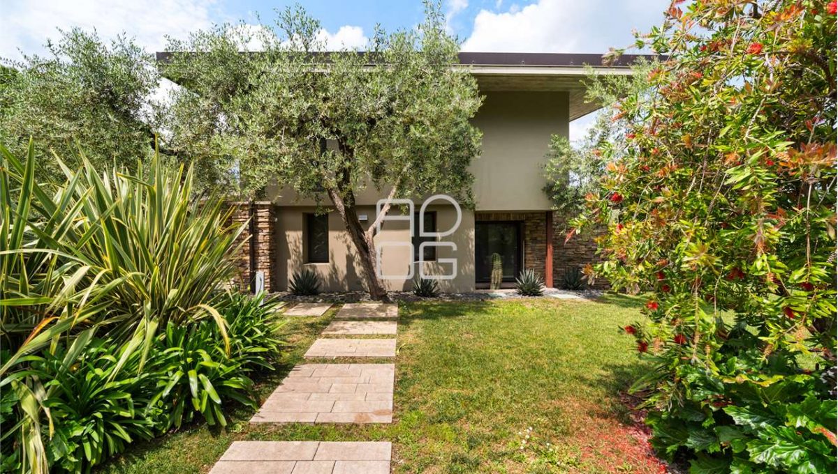 imm_66765-20250617084424-1280-_Watermark_png_mc