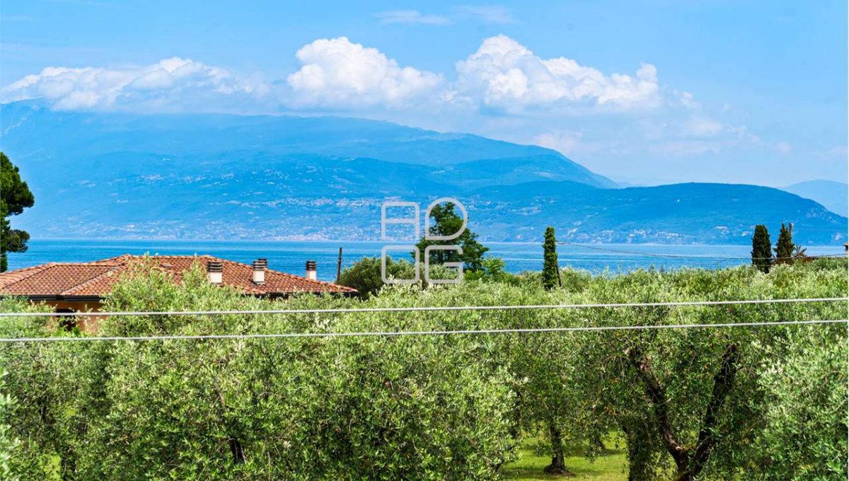 imm_66790-20250617084424-1280-_Watermark_png_mc