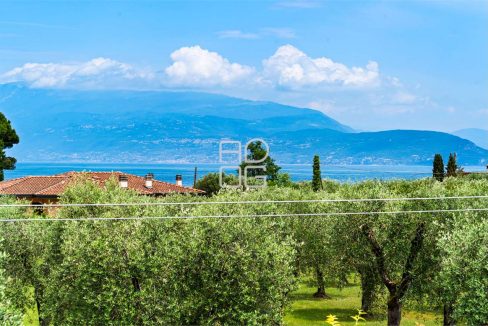 imm_66790-20250617084424-1280-_Watermark_png_mc