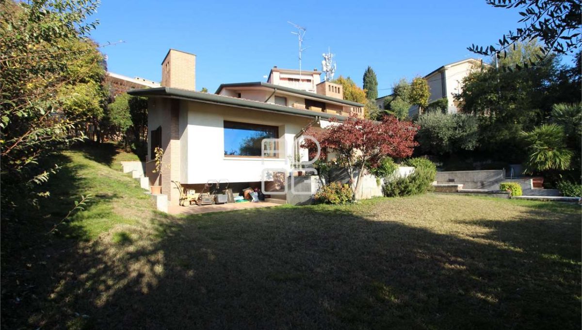 imm_71646-20260213163905-1280-_Watermark_png_mc