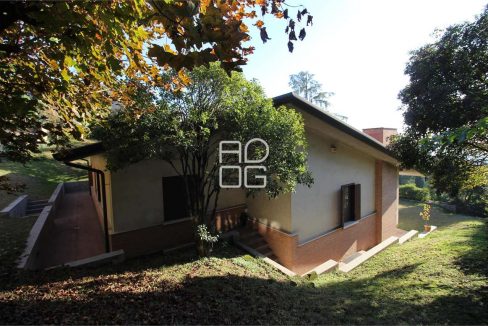 imm_71647-20260213163905-1280-_Watermark_png_mc