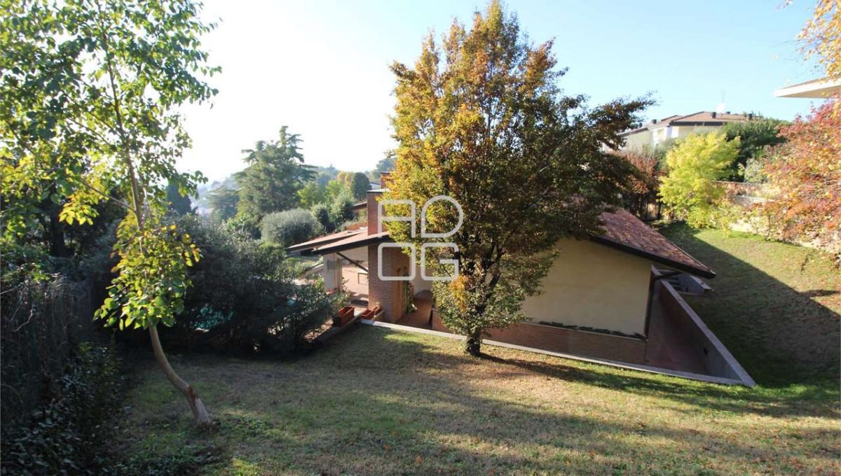 imm_71648-20260213163905-1280-_Watermark_png_mc