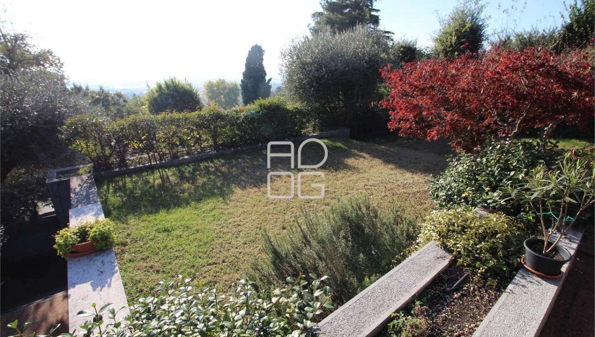 imm_71649-20260213163905-1280-_Watermark_png_mc