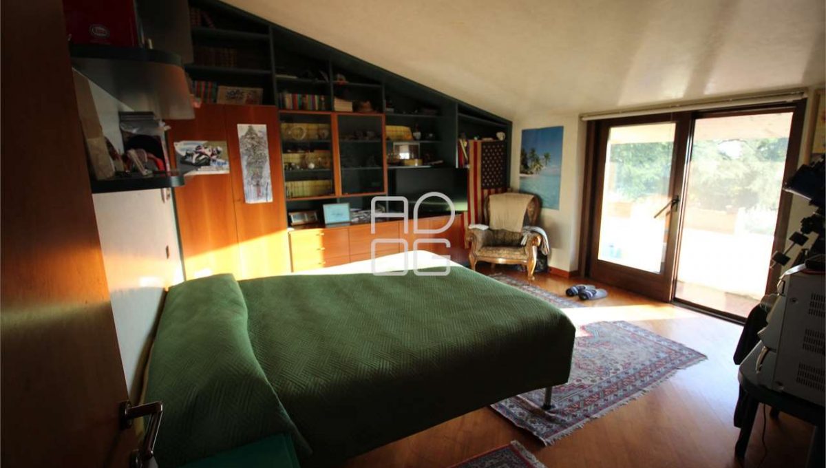 imm_71667-20260213163906-1280-_Watermark_png_mc