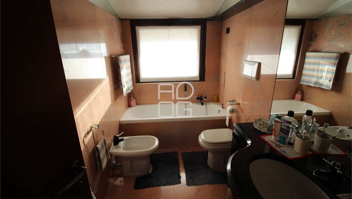 imm_71669-20260213163906-1280-_Watermark_png_mc