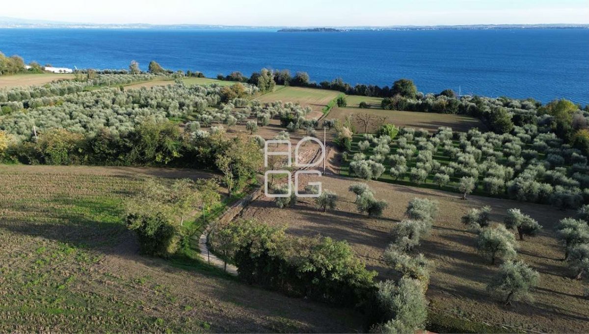 imm_71998-20260228160525-1280-_Watermark_png_mc