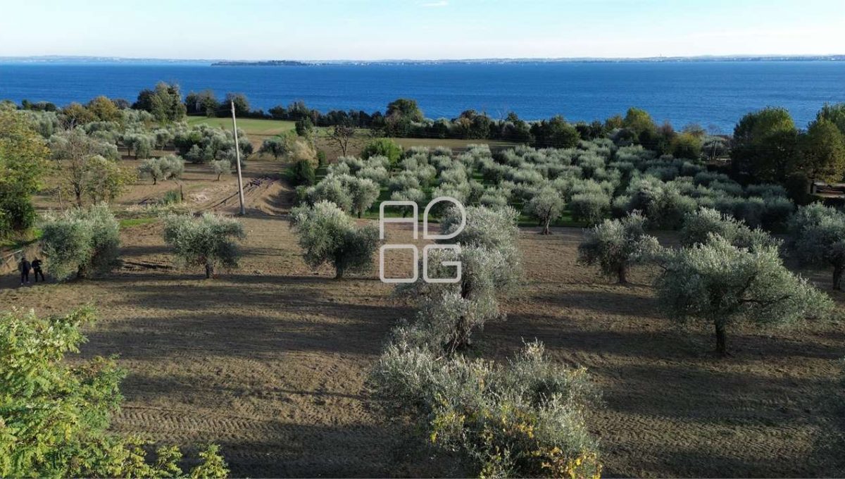 imm_71999-20260228160525-1280-_Watermark_png_mc