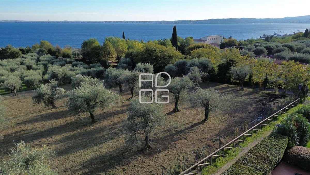 imm_72000-20260228160525-1280-_Watermark_png_mc