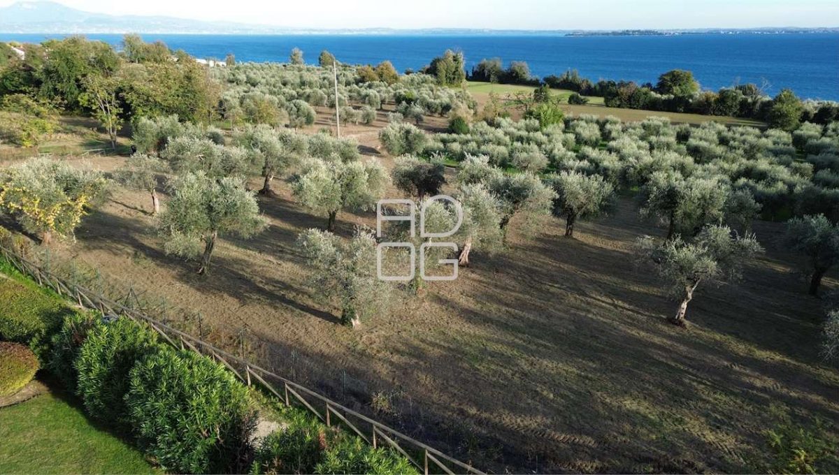 imm_72001-20260228160525-1280-_Watermark_png_mc