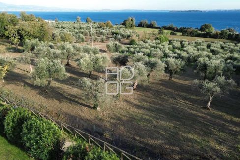 imm_72001-20260228160525-1280-_Watermark_png_mc