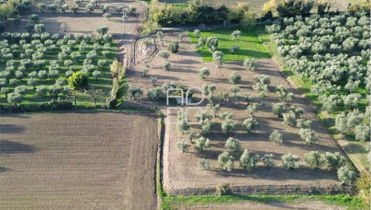 imm_72002-20260228174232-1280-_Watermark_png_mc