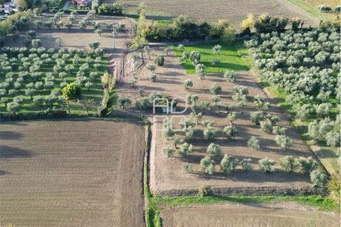 imm_72002-20260228174232-1280-_Watermark_png_mc