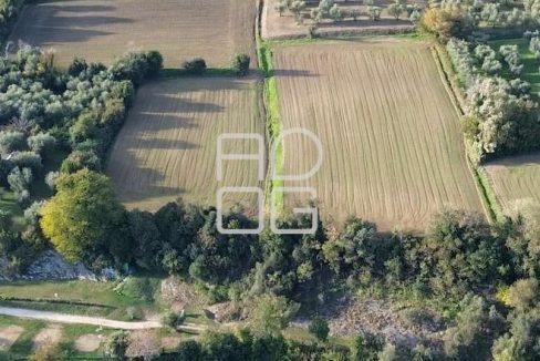 imm_72003-20260228174200-1125_Watermark_png_mc