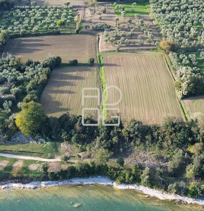 imm_72003-20260228174200-1125_Watermark_png_mc