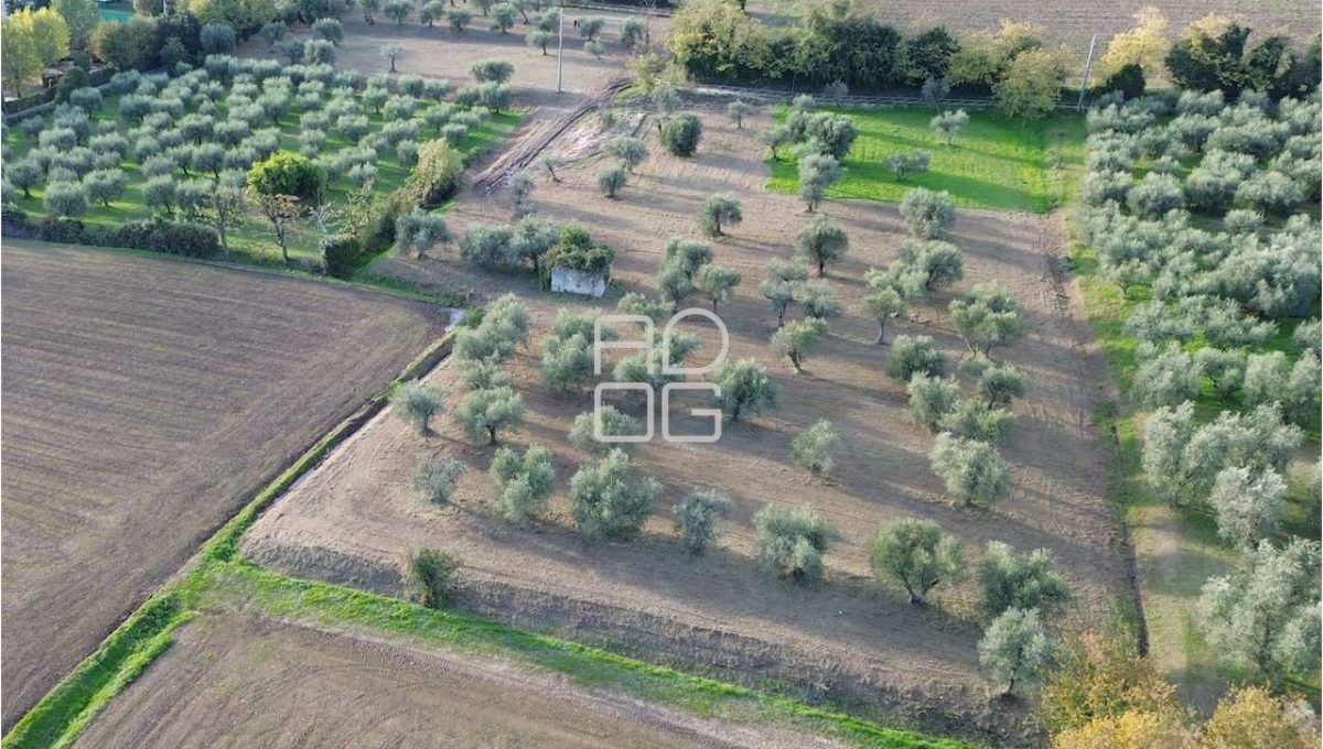 imm_72004-20260228174125-1280-_Watermark_png_mc