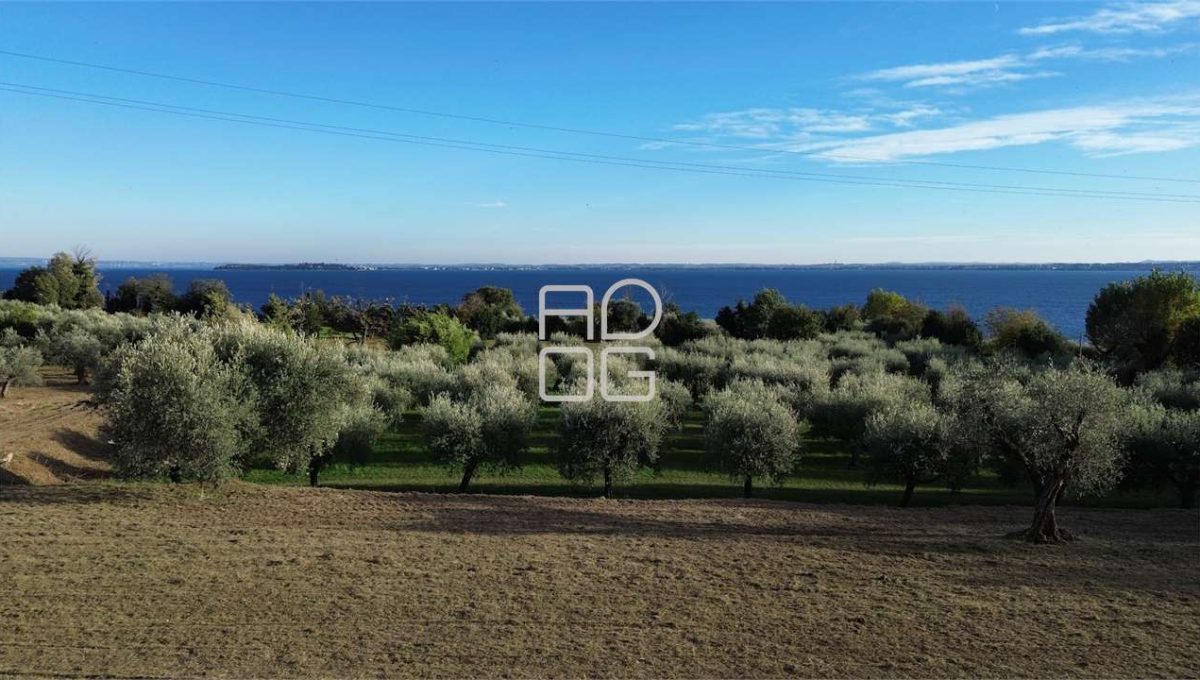 imm_72005-20260228161939-1280-_Watermark_png_mc