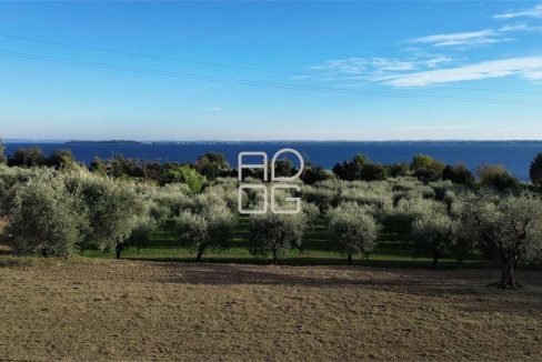 imm_72005-20260228161939-1280-_Watermark_png_mc