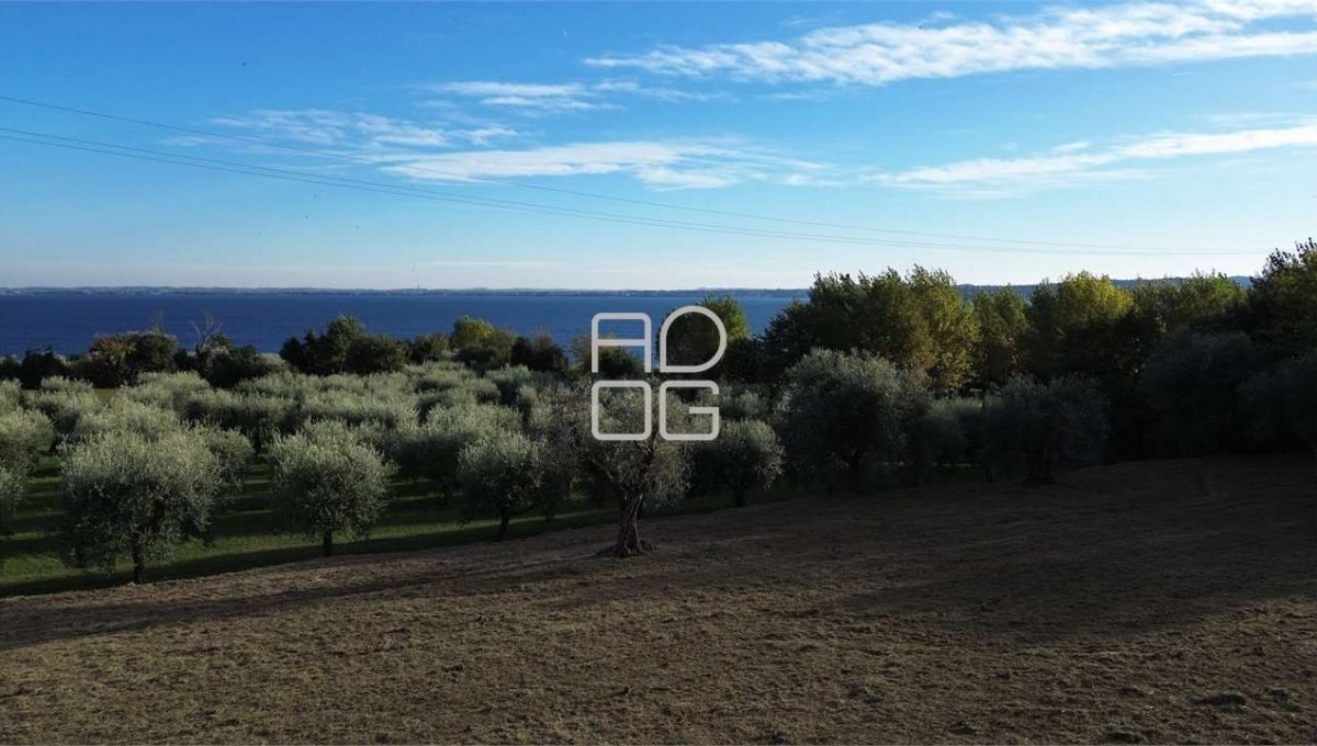 imm_72006-20260228161947-1280-_Watermark_png_mc