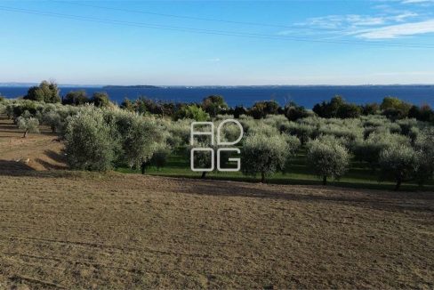 imm_72008-20260228161936-1280-_Watermark_png_mc