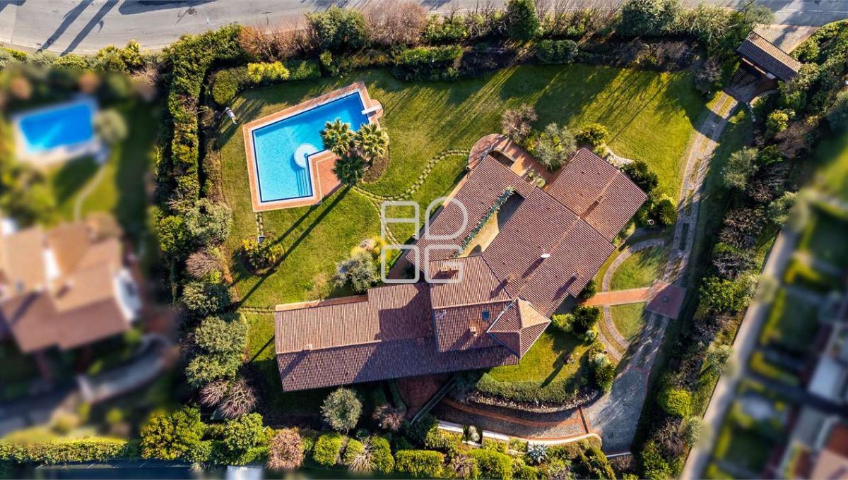 imm_72106-20260303084809-1280-_Watermark_png_mc