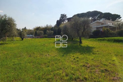 imm_72523-20260324162029-1280-_Watermark_png_mc