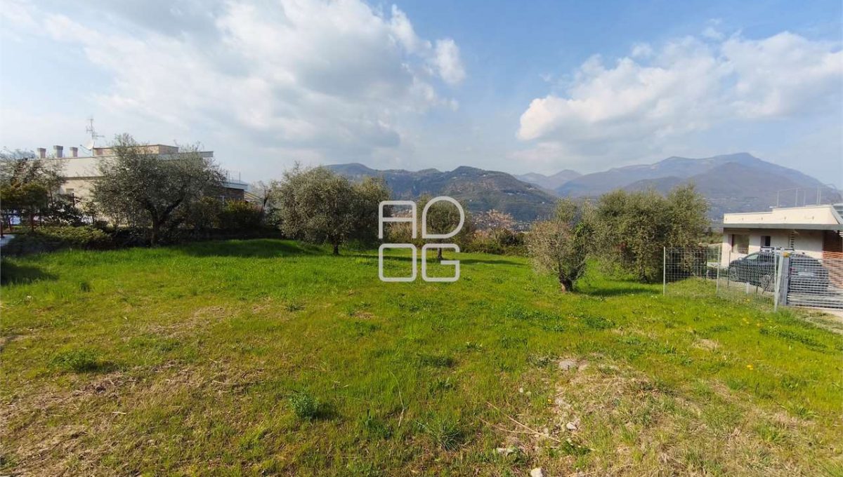 imm_72526-20260324162202-1280-_Watermark_png_mc