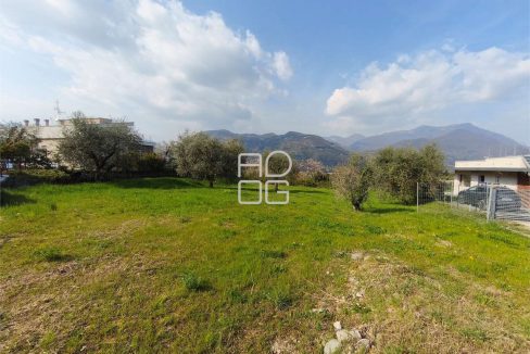 imm_72526-20260324162202-1280-_Watermark_png_mc