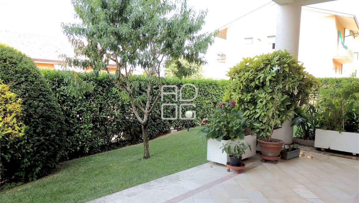 imm_14319-1280-_Watermark_png_mc