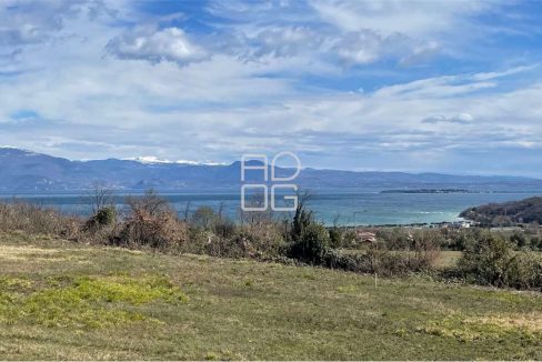 imm_55287-20260419022025-1280-_Watermark_png_mc