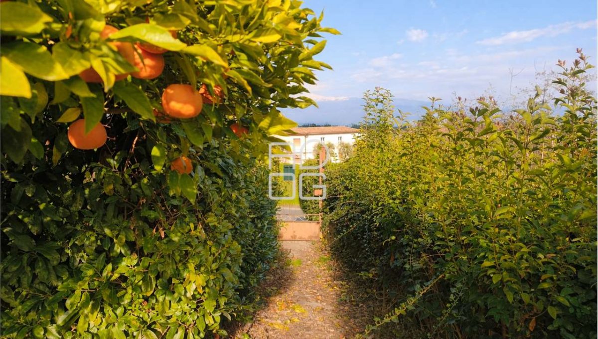 imm_72961-20260330185121-1280-_Watermark_png_mc